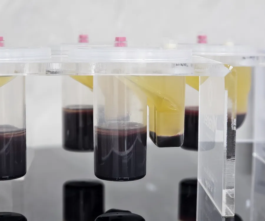 stemcell_slide_02_bg_img